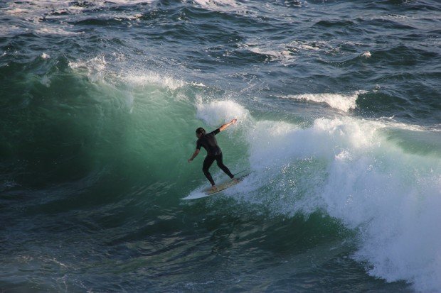 "Surfing Fairy Bower"