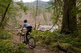 McKenzie River Trail, Blue River