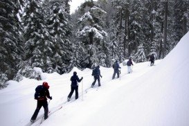 Mount Hood Skibowl, Portland