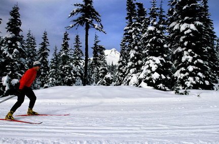 "Mount Hood Skibowl, Cross Country Skiing"