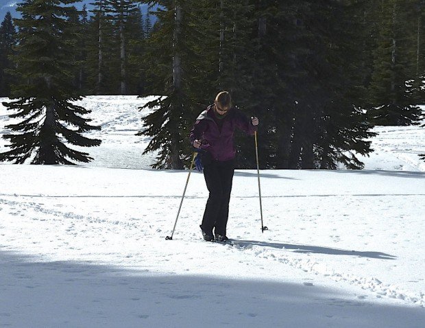"Mount Shasta Cross Country Skier"