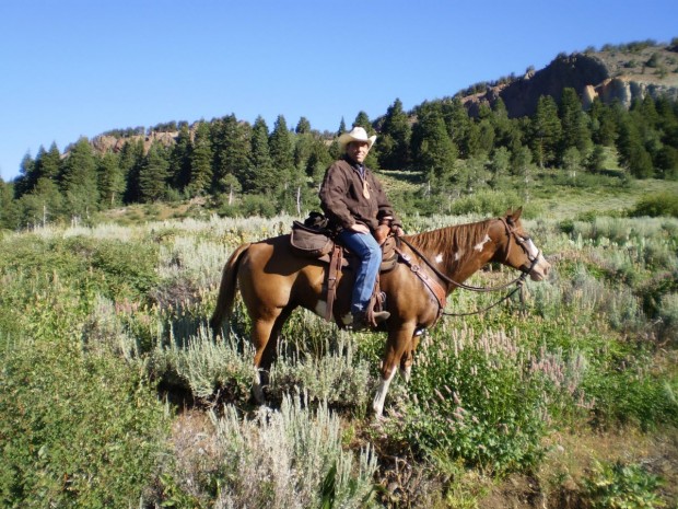"Mount Shasta Horseback Riding"