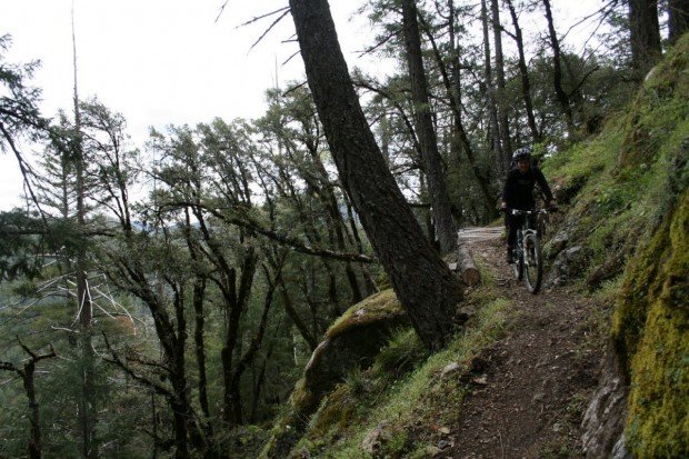 "Mount Shasta Mountain Biking"