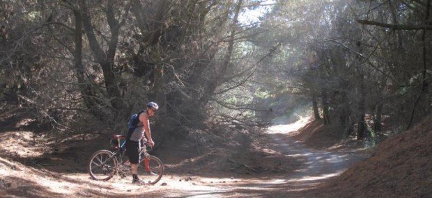 "Mountain Biker at Bottle Lake Forest Park"