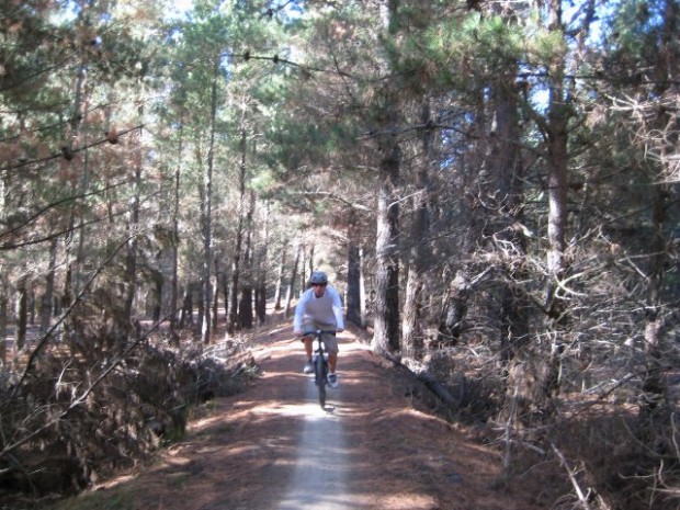 "Mountain Biker at McLeans Island"