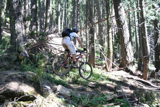 "Mountain Biker at Northstar"