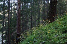 Big Chiwaukum Mountain: East Route, Wenatchee