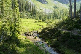 Carne Mountain Climb, Wenatchee