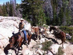 Piute Meadow, Sonora