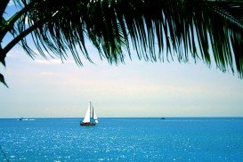 Honokohau Harbor, Kailua Kona