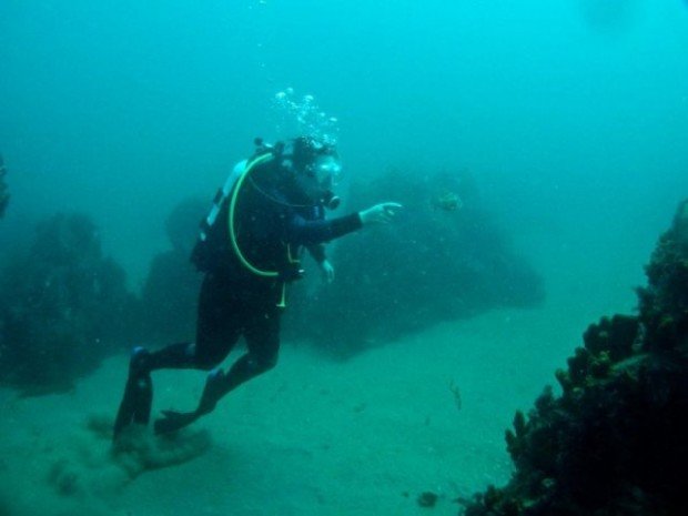 "Scuba Diver at Noarlunga Tyre Reef"