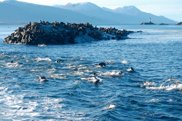 "Scuba Diving Isla De Los Lobos"