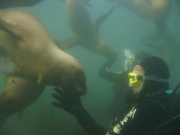 "Scuba Diving Isla Redonda"