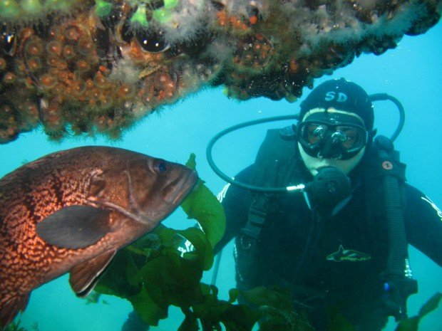 "Scuba Diving Puerto Cucharita"