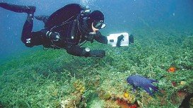 Glenelg Barge Wreck, Adelaide