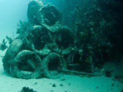 Seawolf Wreck, Adelaide