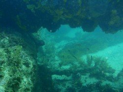 Star of Greece Wreck, Port Willunga