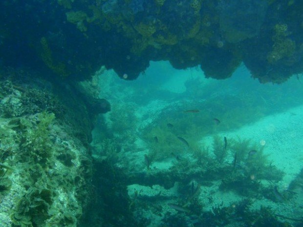 "Scuba Diving at Star of Greece Wreck"