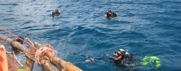 "Shark Point 1, Mombasa Marine Park Scuba Diving"