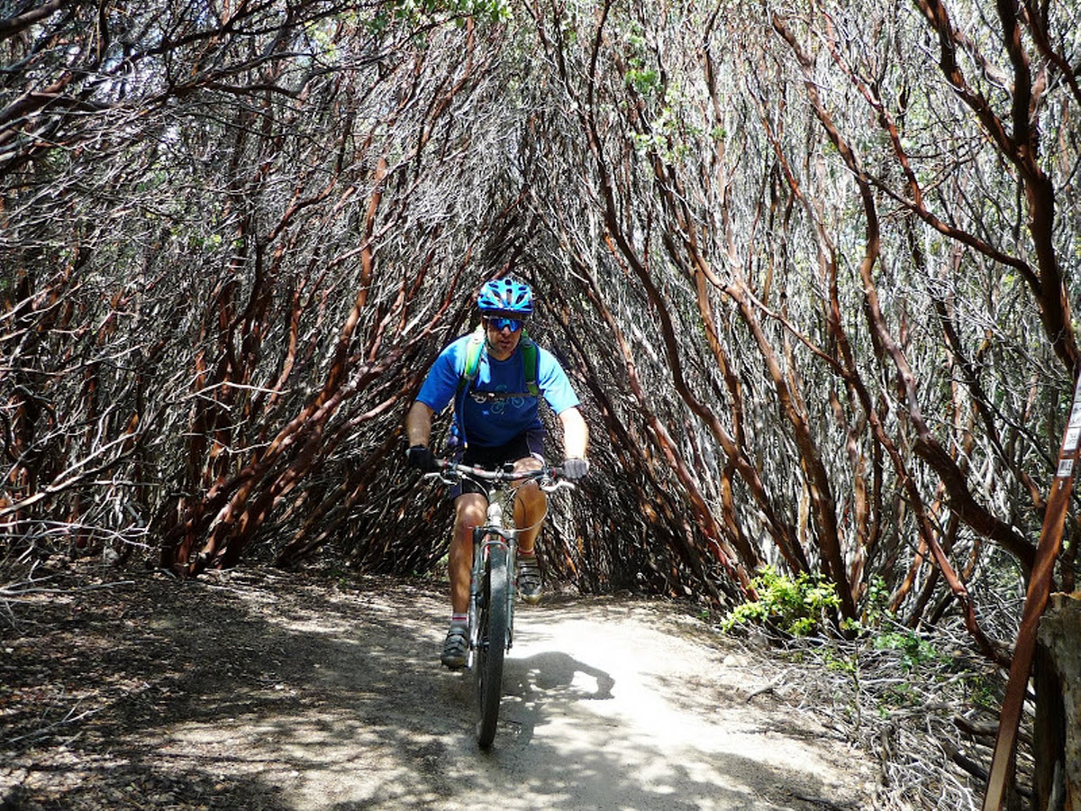 "Riding through trees at Shirley Meadow"
