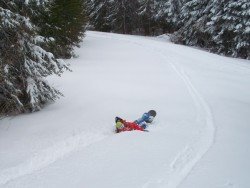 Le Valinouet Saint David de Falardeau