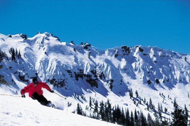 "Skiing in Snow Bowl Ski Resort"