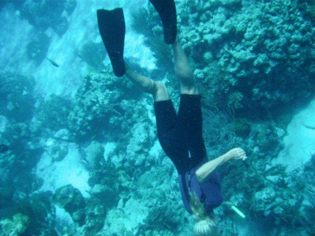 "Snorkeling Big Lagoon"