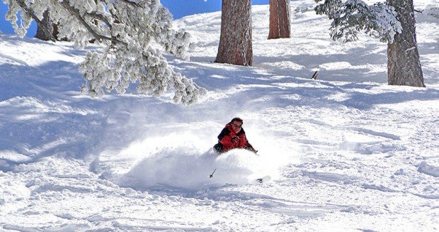 "Snow Valley Alpine Skiers"