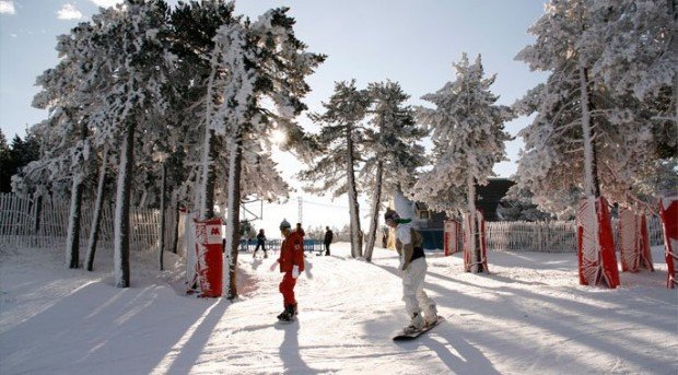 "Snowboarder Spain"