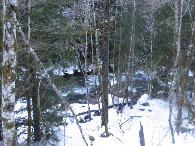 "Snowshoeing East Fork Foss River"