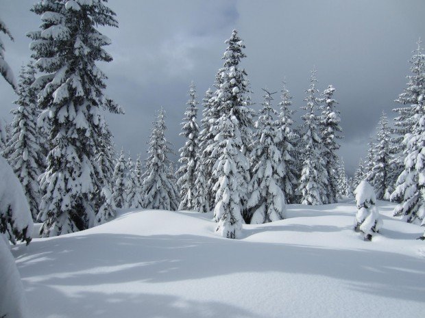 "Snowshoeing Keechelus Lake Trail"