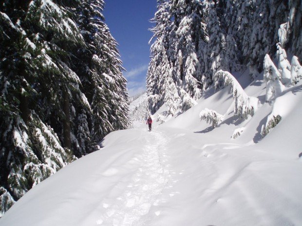 "Snowshoeing Kendal Peak Lakes"