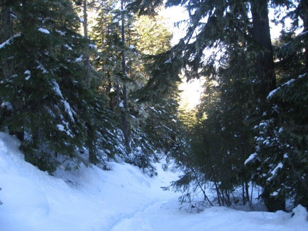 "Snowshoeing Lenham-Lake-Trail"