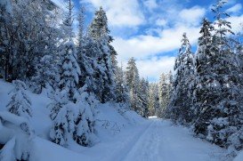 Wenatchee Crest Trail, Wenatchee