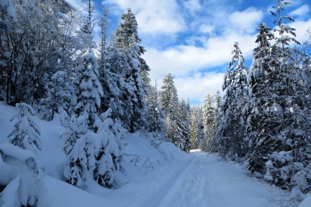 "Snowshoeing Wenatchee Crest Trail"