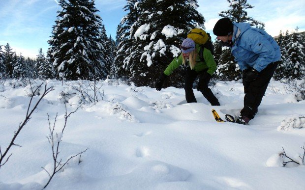 "Snowshoeing White Pass Nordic Center"