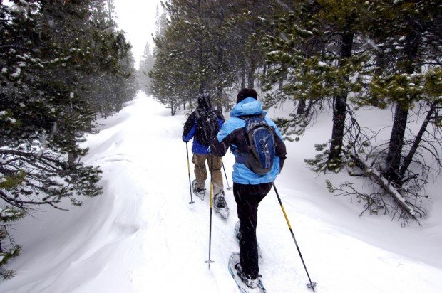 "Snowshoeing Windy Pass Trail"