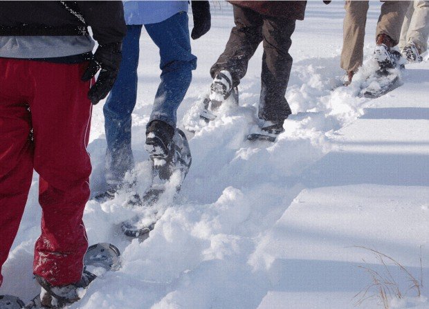 "Snowshoeing at Jamestown"