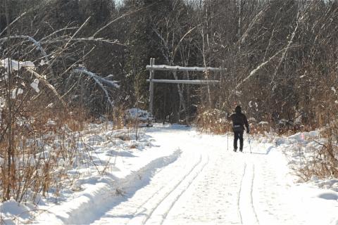 "Snowshoeing at Mont Rigaud"