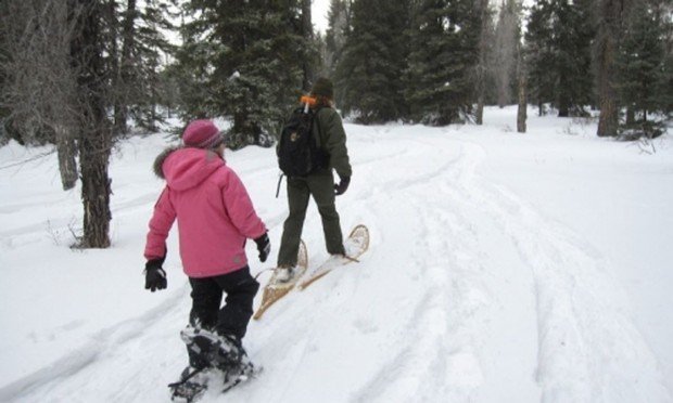 "Snowshoers admiring the view while walking on the snow"