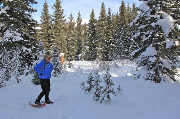 "Snowshoers at Marshall Mesa"