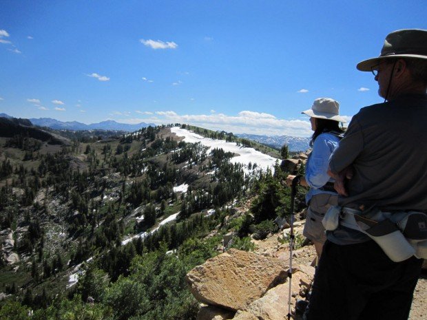 "Sourgrass Hiking"