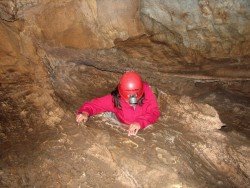 California Cavern, Angels Camp