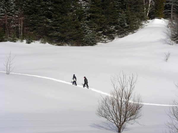 "Station du ski Mont Edouard, L'Anse Saint Jean Cross Country Skiing"