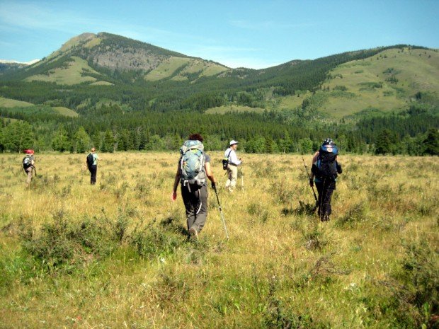 "Strawberry Hikers"