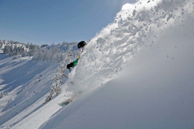 "Sugar Bowl Alpine Skier"