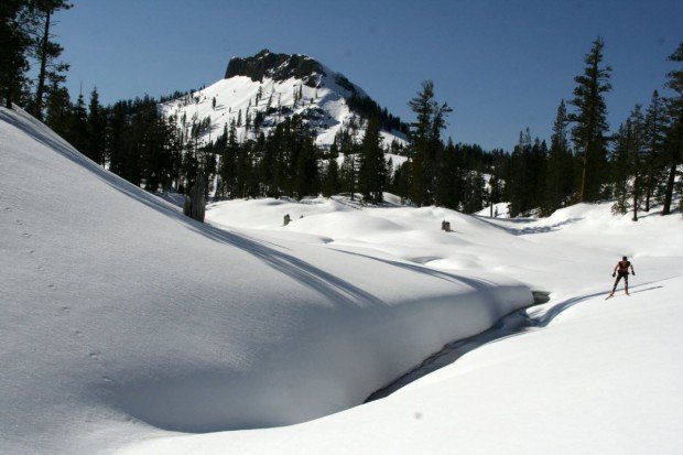 "Sugar Bowl Cross Country Skier"