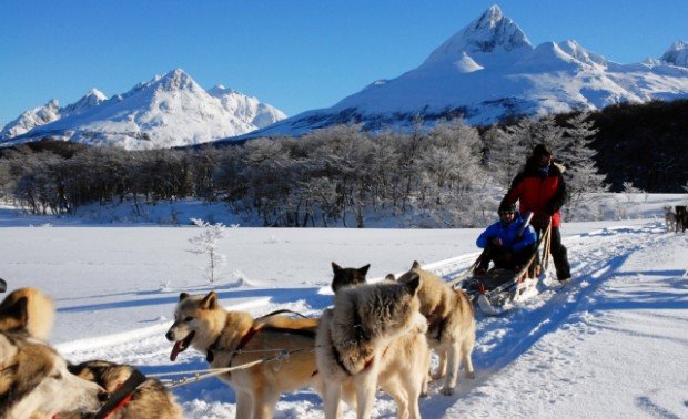 "Tierra Mayor Valley, Dog Sledding"