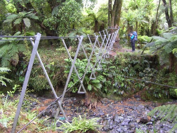 "Trekking at Hollyford Track"