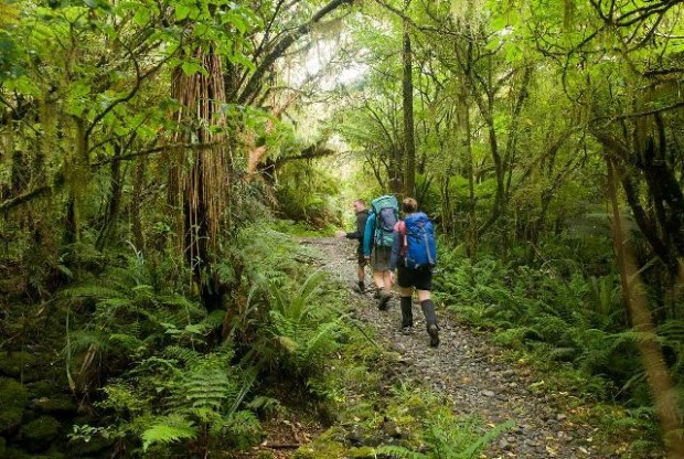 "Trekking at Milford Track"